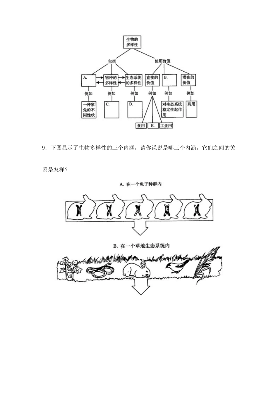 人教版生物八年级上册《认识生物的多样性》同步练习1.doc_第3页