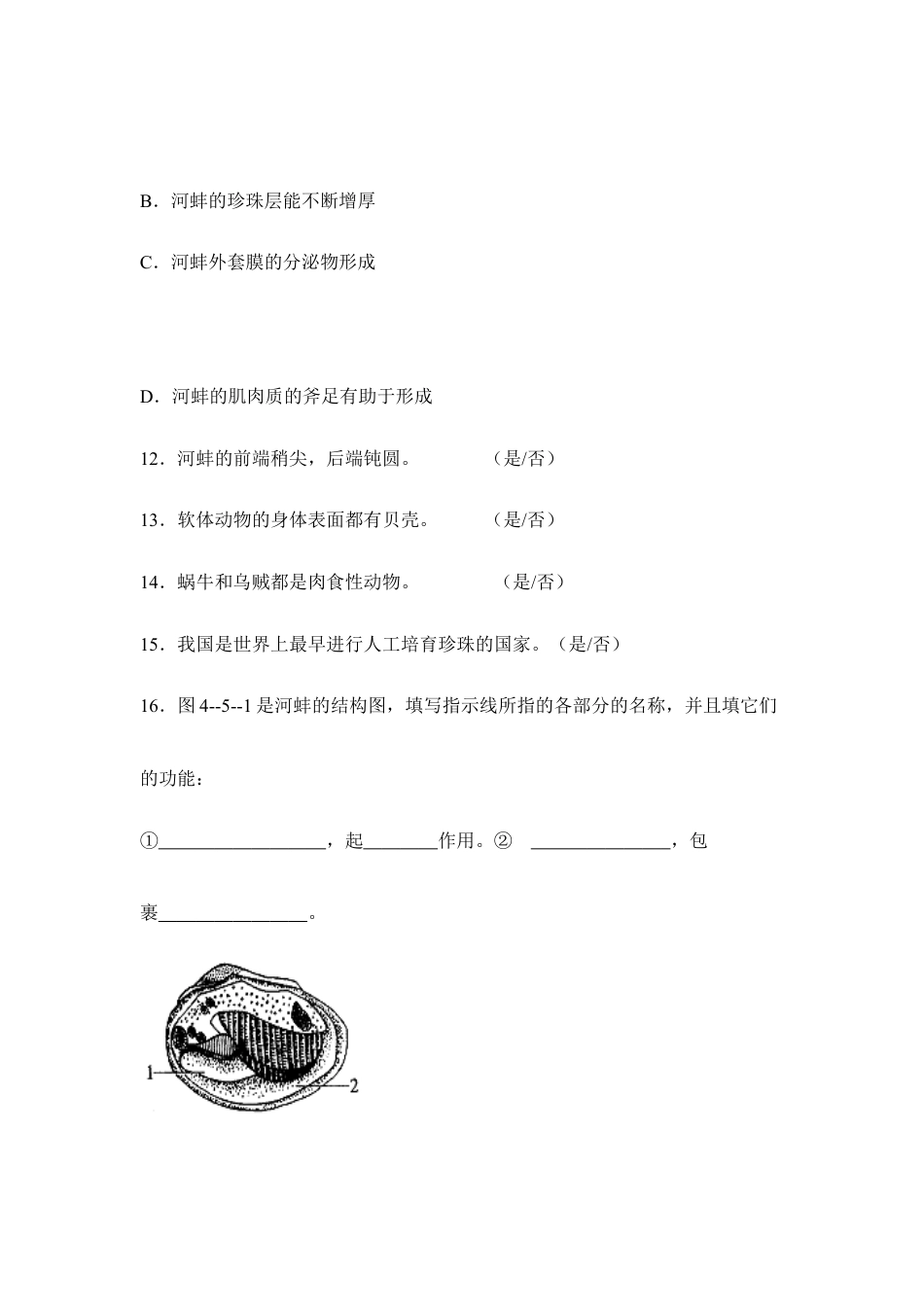 人教版生物八年级上册《软体动物》同步练习.doc_第3页
