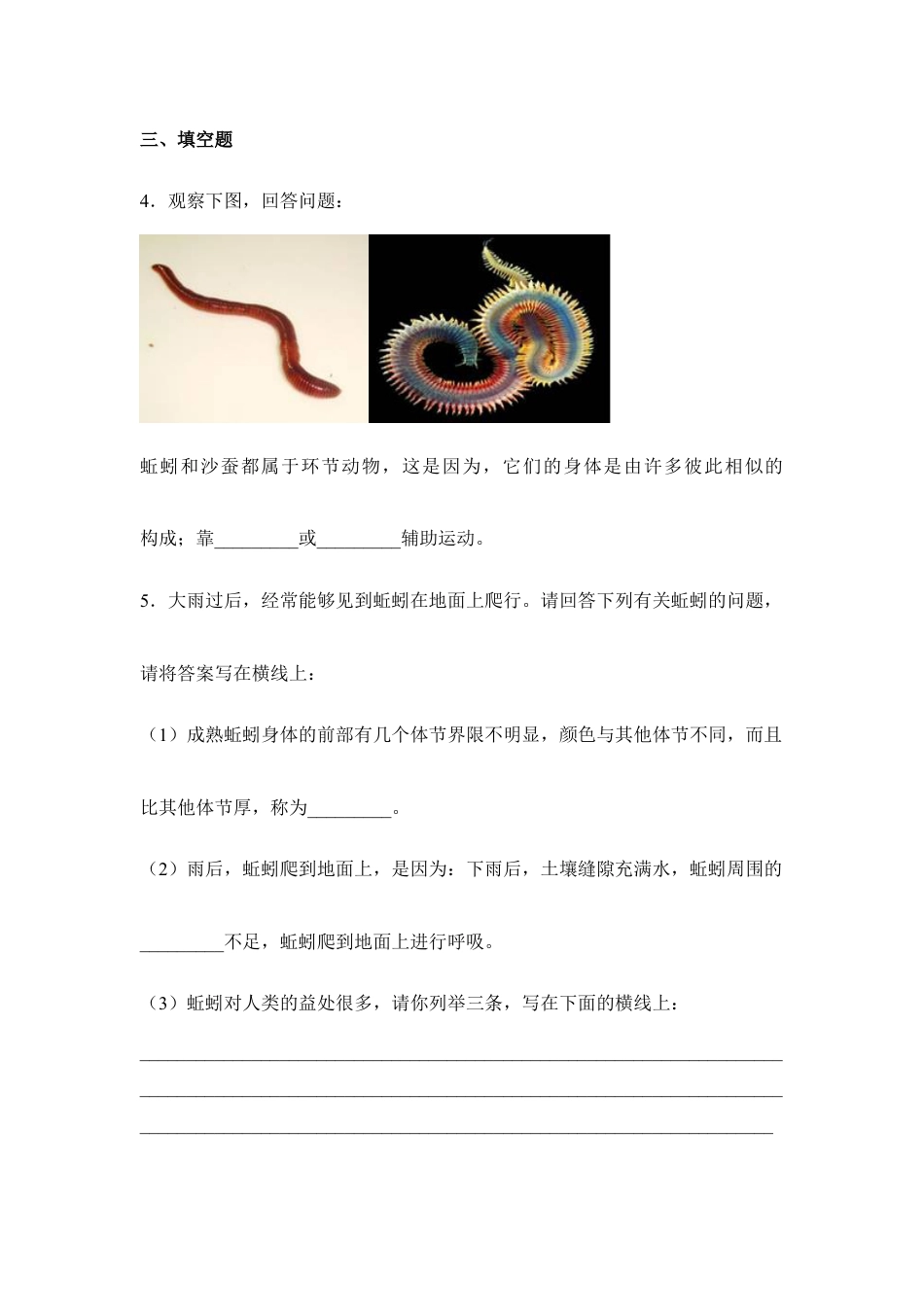 人教版生物八年级上册《线形动物和环节动物》同步练习1.doc_第2页