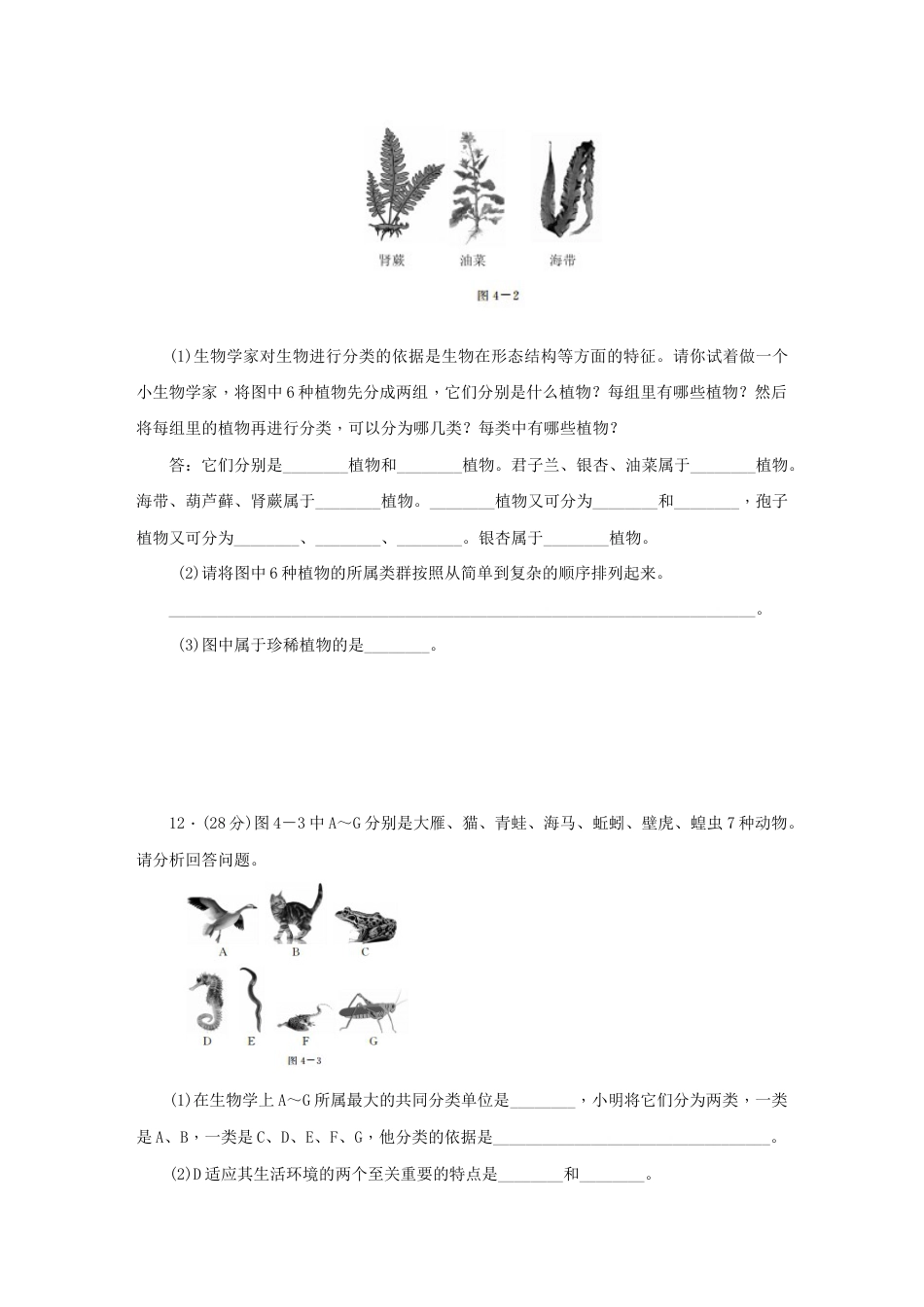 人教版生物八年级上册第6单元《生物的多样性及其保护》单元测试卷(解析版).docx_第3页