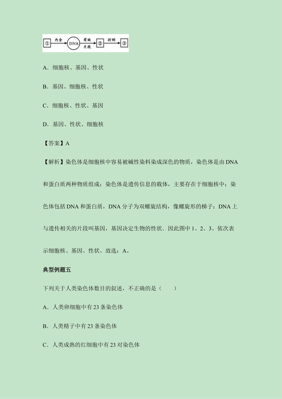 人教版生物八年级下册《基因控制生物的性状》例题解析.doc_第3页