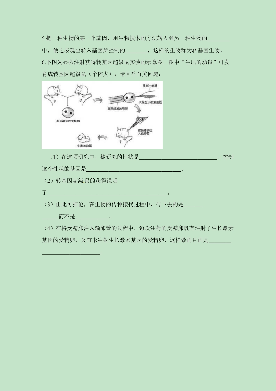 人教版生物八年级下册《基因控制生物的性状》同步练习.doc_第2页