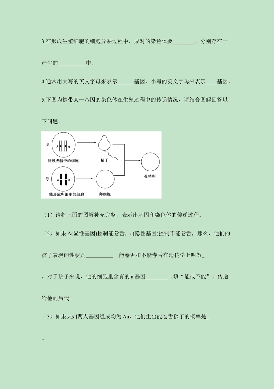 人教版生物八年级下册《基因在亲子代间的传递》同步练习1.doc_第3页