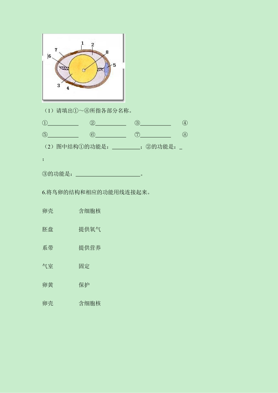 人教版生物八年级下册《鸟的生殖和发育》同步练习.doc_第3页