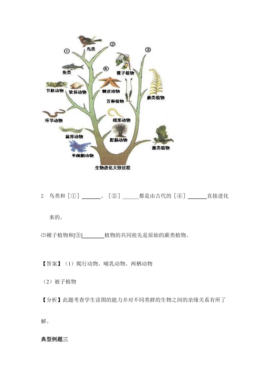 人教版生物八年级下册《生物进化的历程》典型例题.doc_第2页