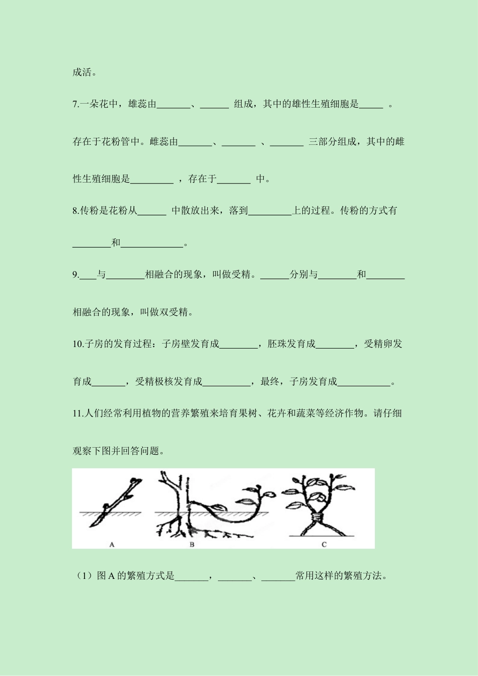 人教版生物八年级下册《植物的生殖》同步练习.doc_第2页