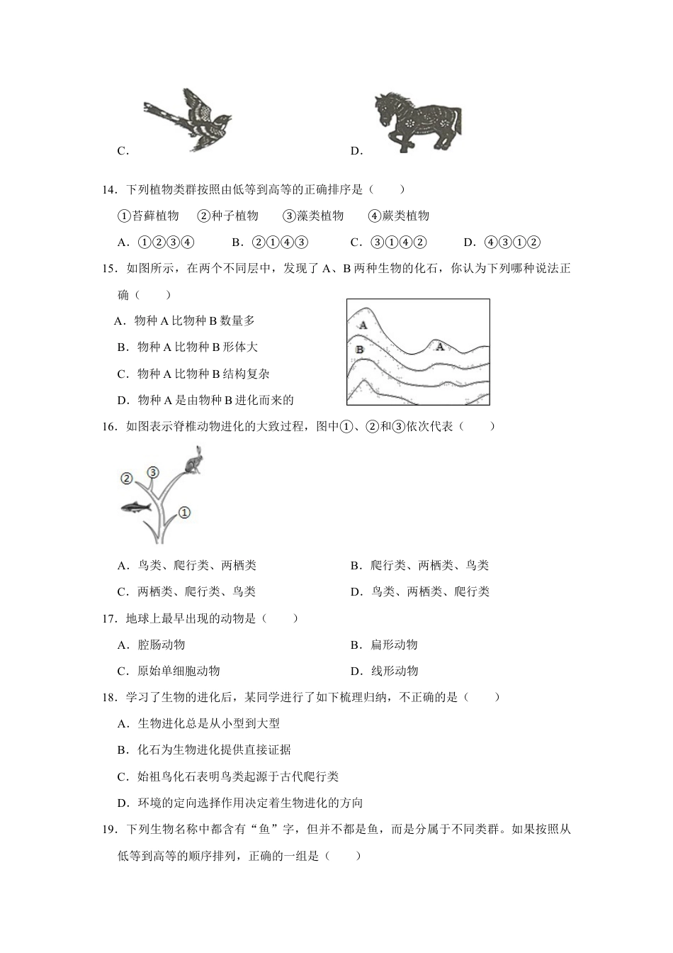 人教版生物八年级下册第七单元 第三章 生命起源和生物进化 检测题(含答案).doc_第3页