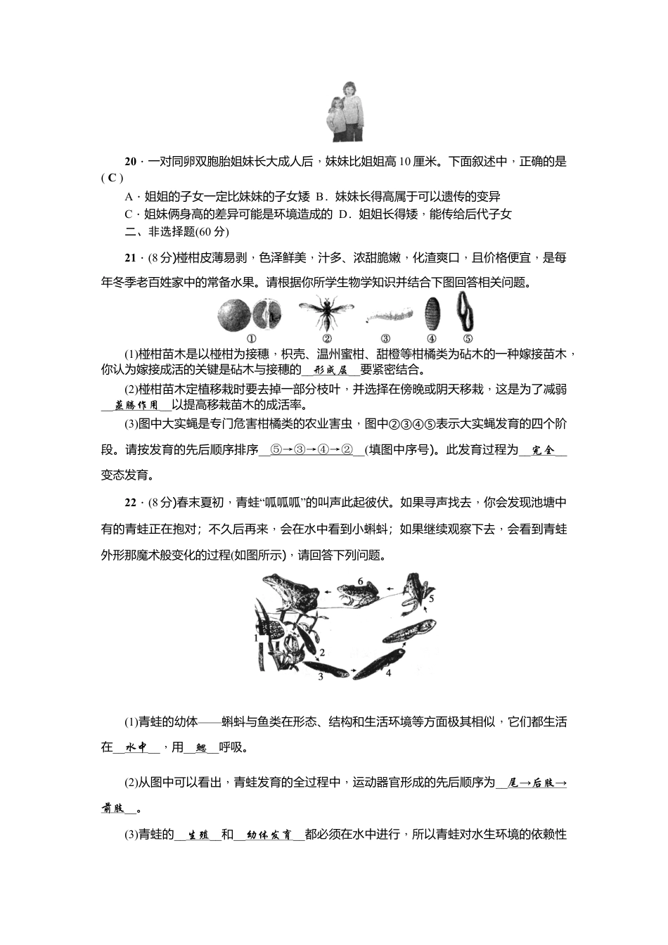 人教版生物八年级下册期中测试题.doc_第3页