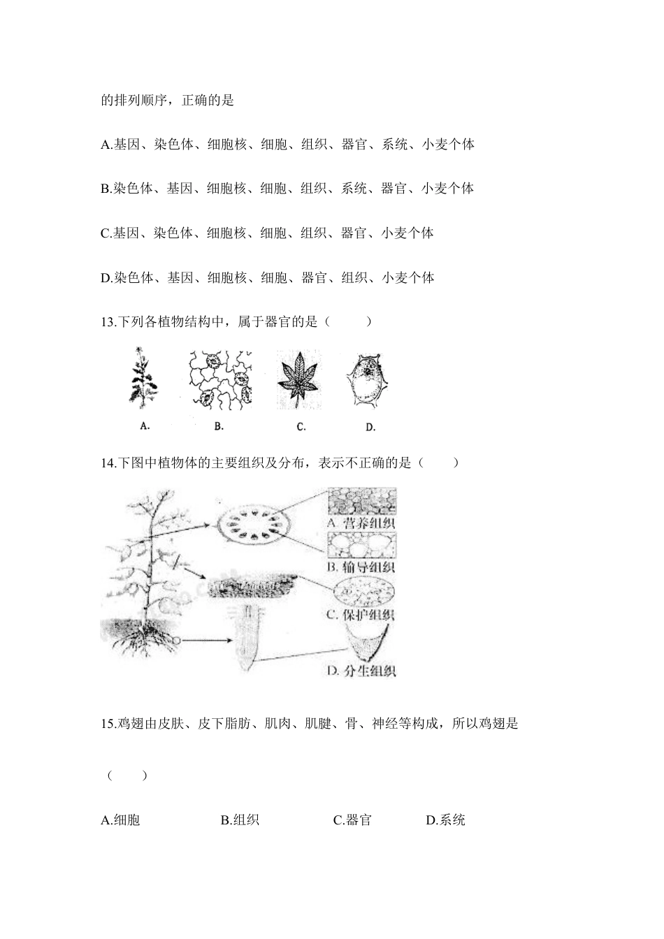人教生物七年级上-《细胞怎样构成生物体》章末检测1.doc_第3页