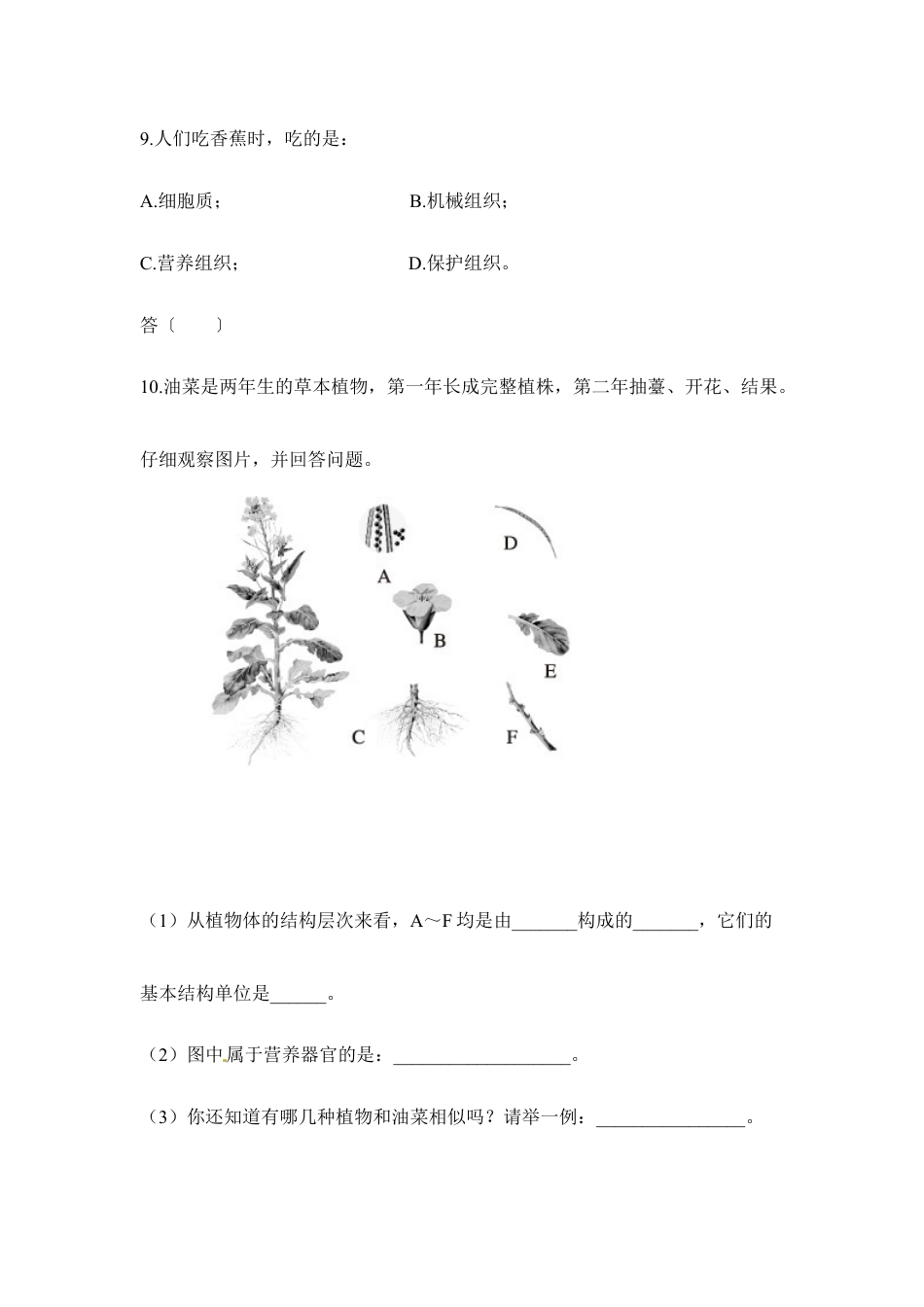 人教生物七年级上-《细胞怎样构成生物体》章末检测2.doc_第3页