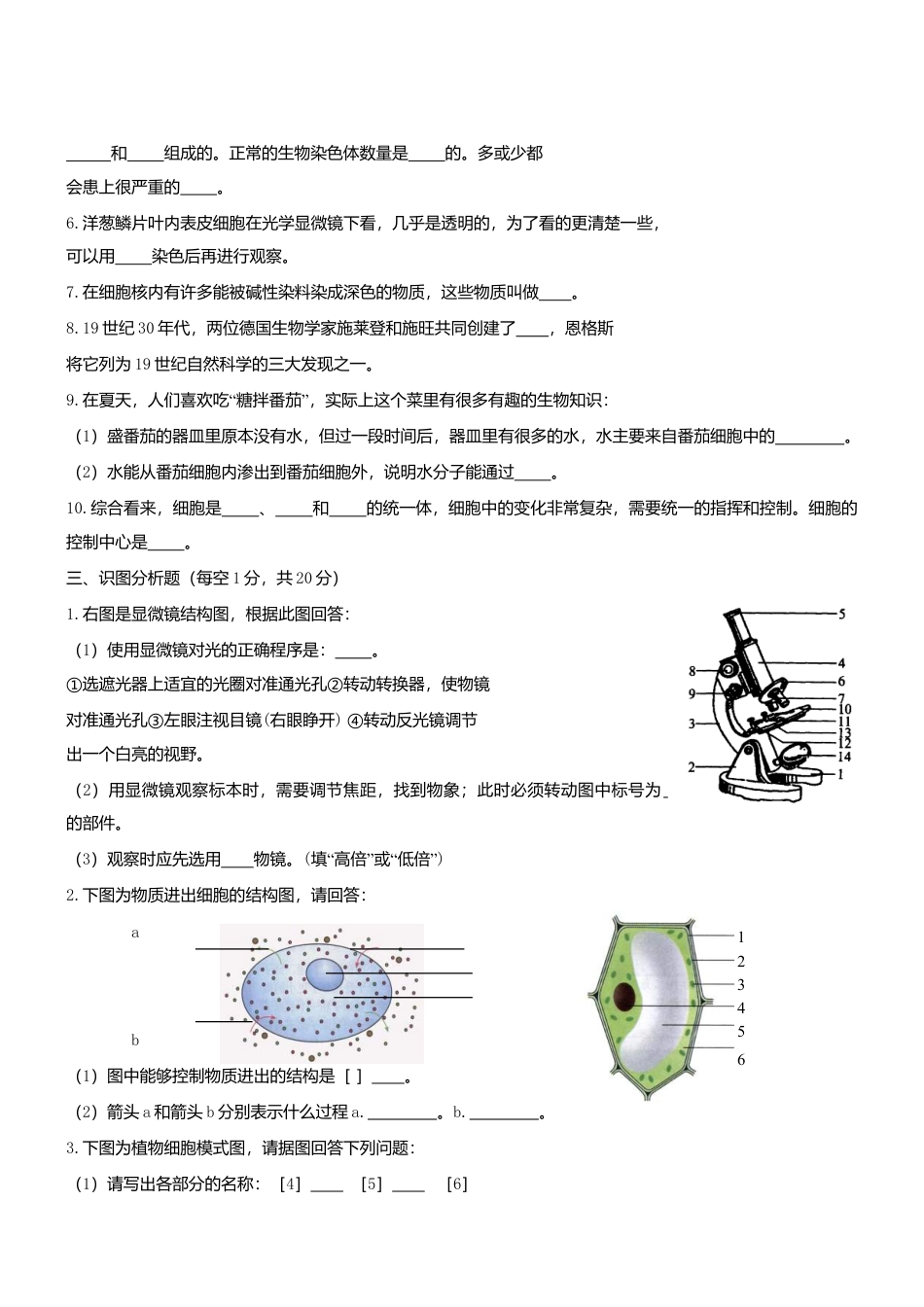 人教生物七年级上-2.1 细胞是生命活动的基本单位同步练习.doc_第3页