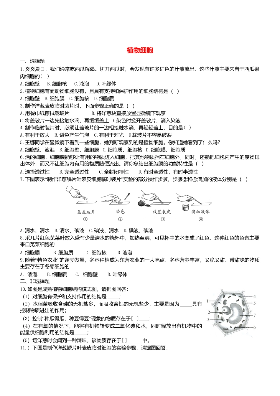 人教生物七年级上-2.1.2 植物细胞双基双测.doc_第1页