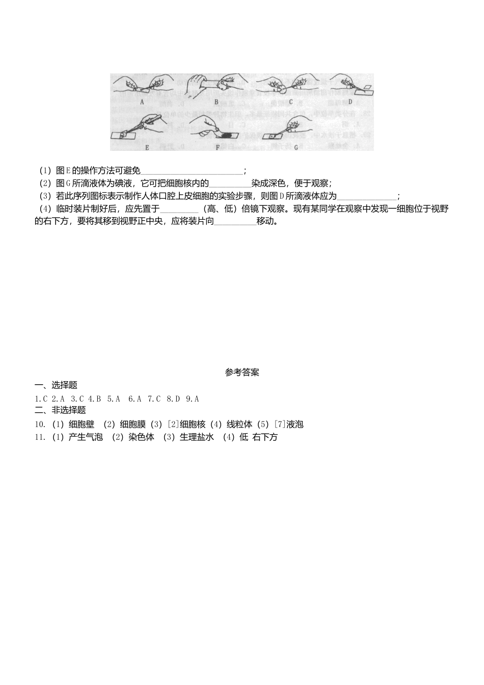 人教生物七年级上-2.1.2 植物细胞双基双测.doc_第2页
