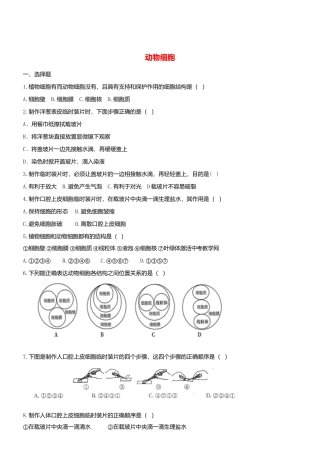 人教生物七年级上-2.1.3 动物细胞 同步练习.doc