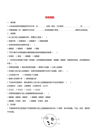 人教生物七年级上-2.1.3 动物细胞双基双测.doc