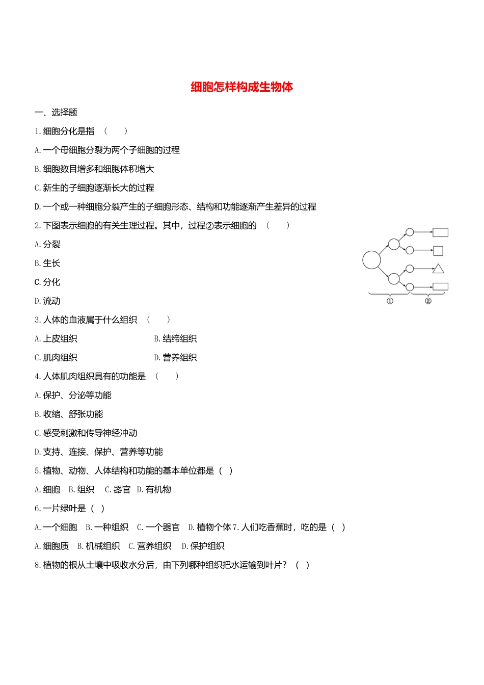 人教生物七年级上-2.2 细胞怎样构成生物体同步练习.doc_第1页
