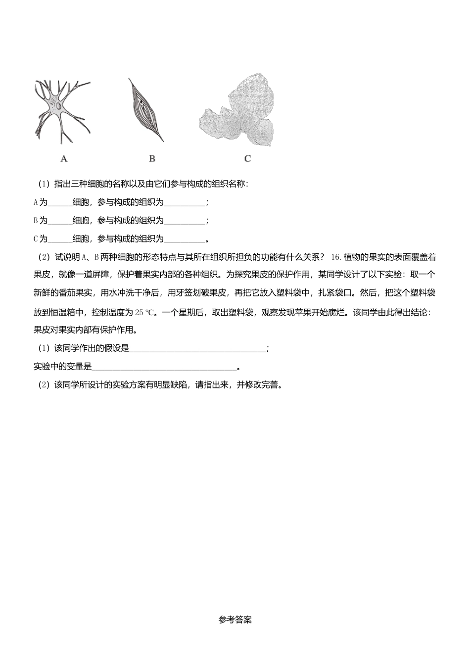 人教生物七年级上-2.2 细胞怎样构成生物体同步练习.doc_第3页