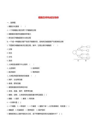 人教生物七年级上-2.2 细胞怎样构成生物体同步练习.doc