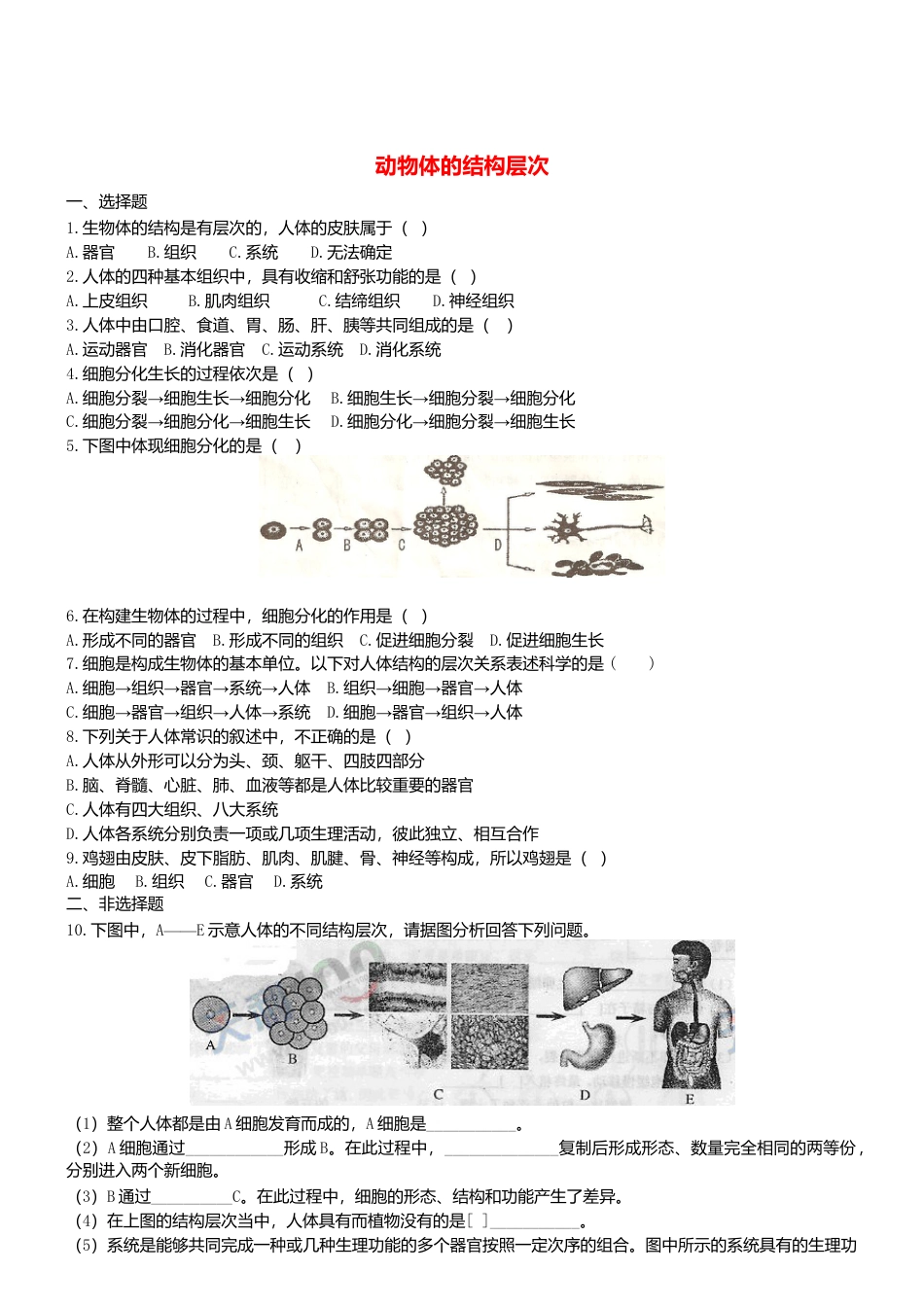 人教生物七年级上-2.2.2 动物体的结构层次双基双测.doc_第1页