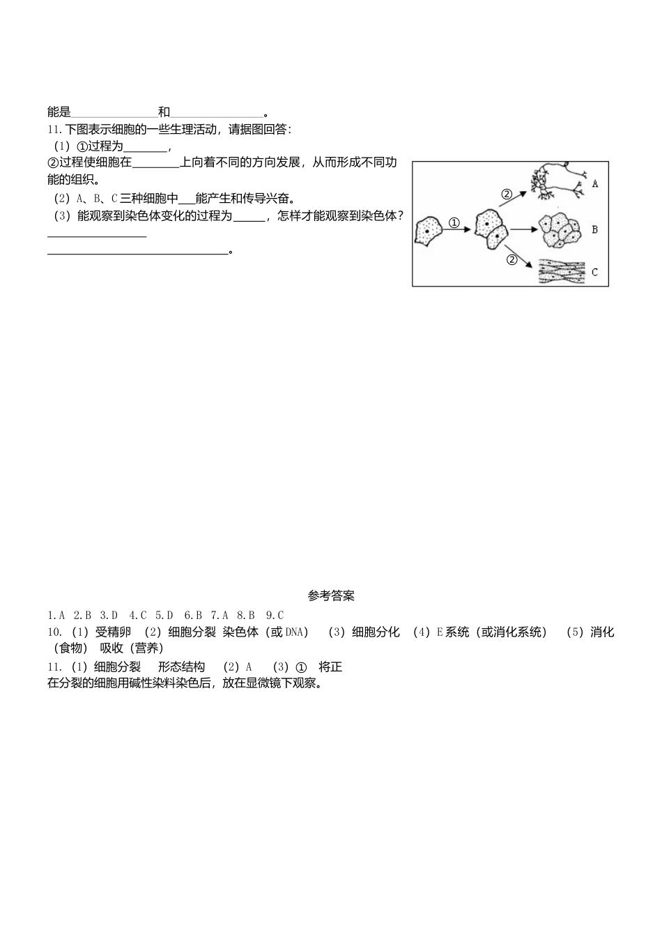人教生物七年级上-2.2.2 动物体的结构层次双基双测.doc_第2页