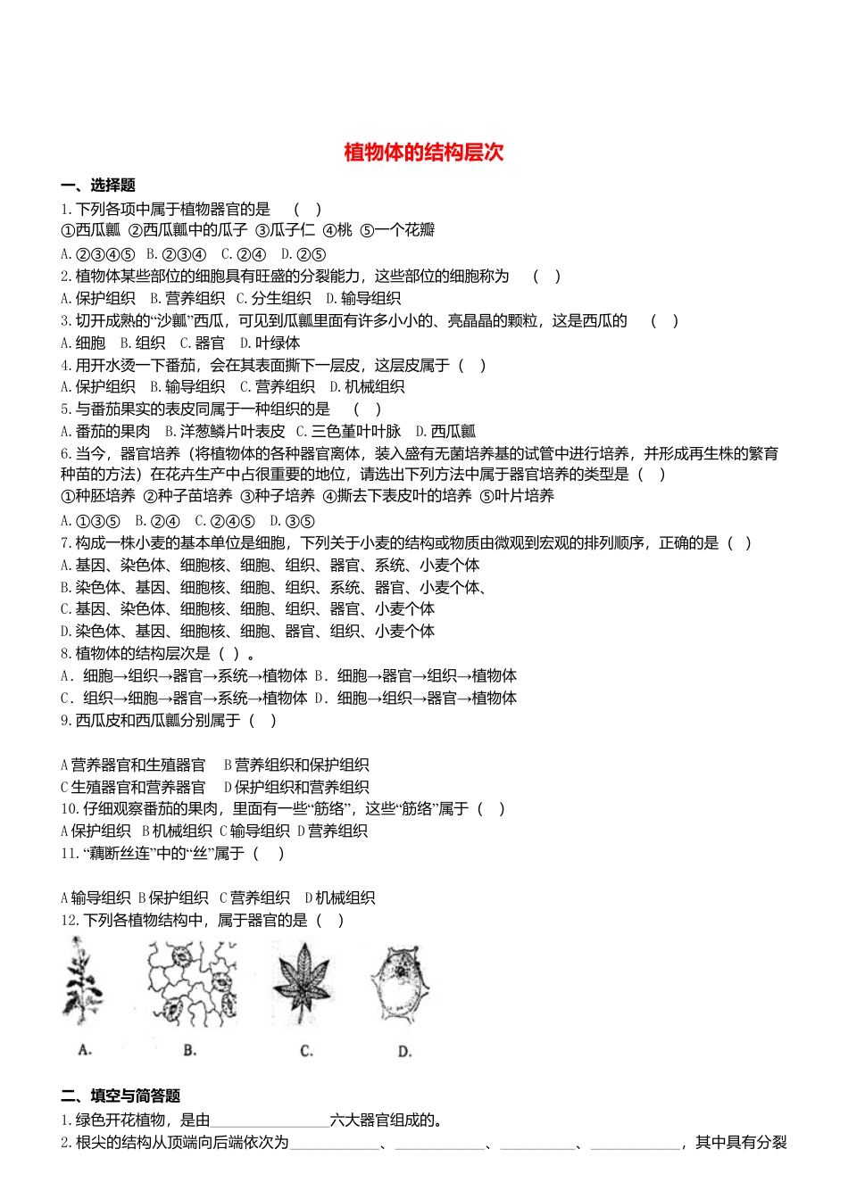 人教生物七年级上-2.2.3 植物体的结构层次 同步练习.doc_第1页