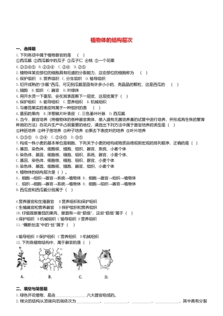 人教生物七年级上-2.2.3 植物体的结构层次 同步练习.doc