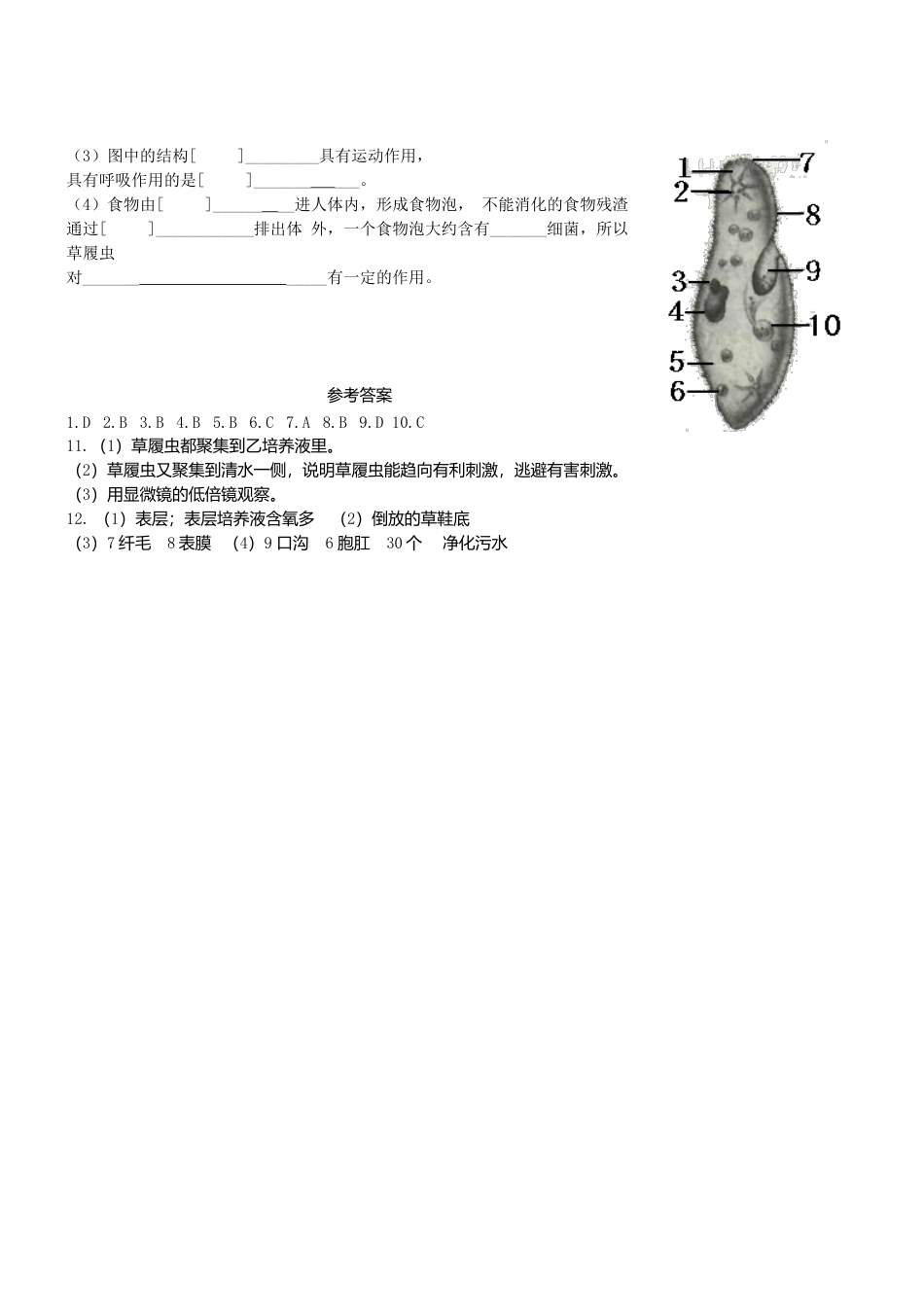 人教生物七年级上-2.2.4 单细胞生物同步练习.doc_第2页
