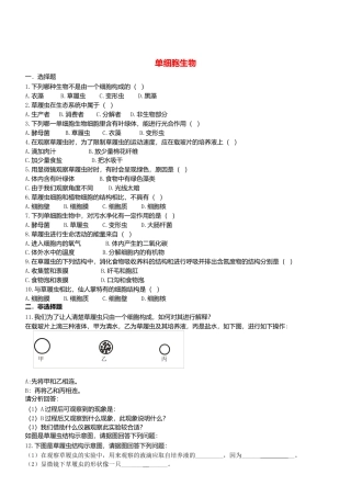 人教生物七年级上-2.2.4 单细胞生物同步练习.doc