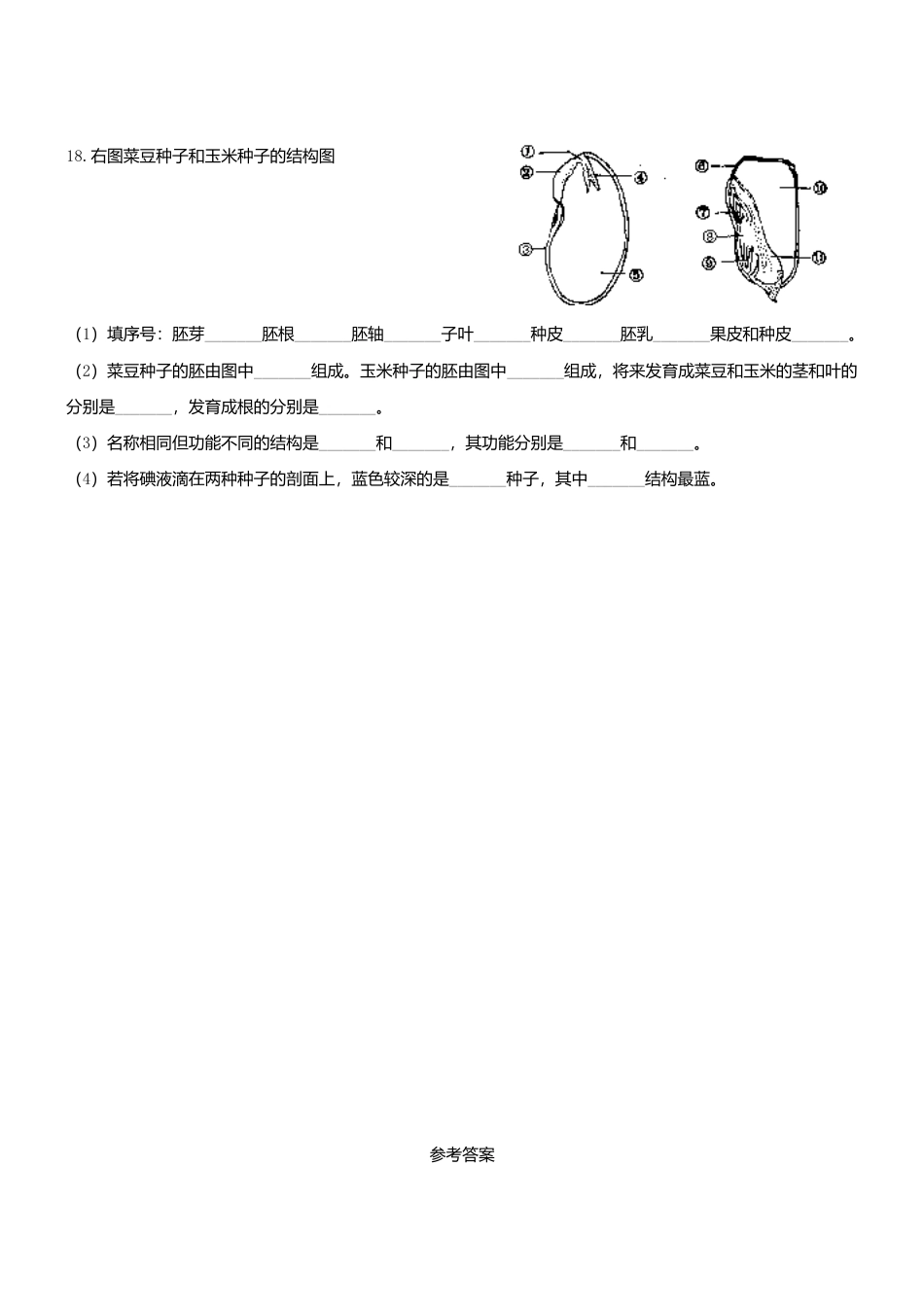 人教生物七年级上-3.1 生物圈中有哪些绿色植物 同步练习.doc_第3页