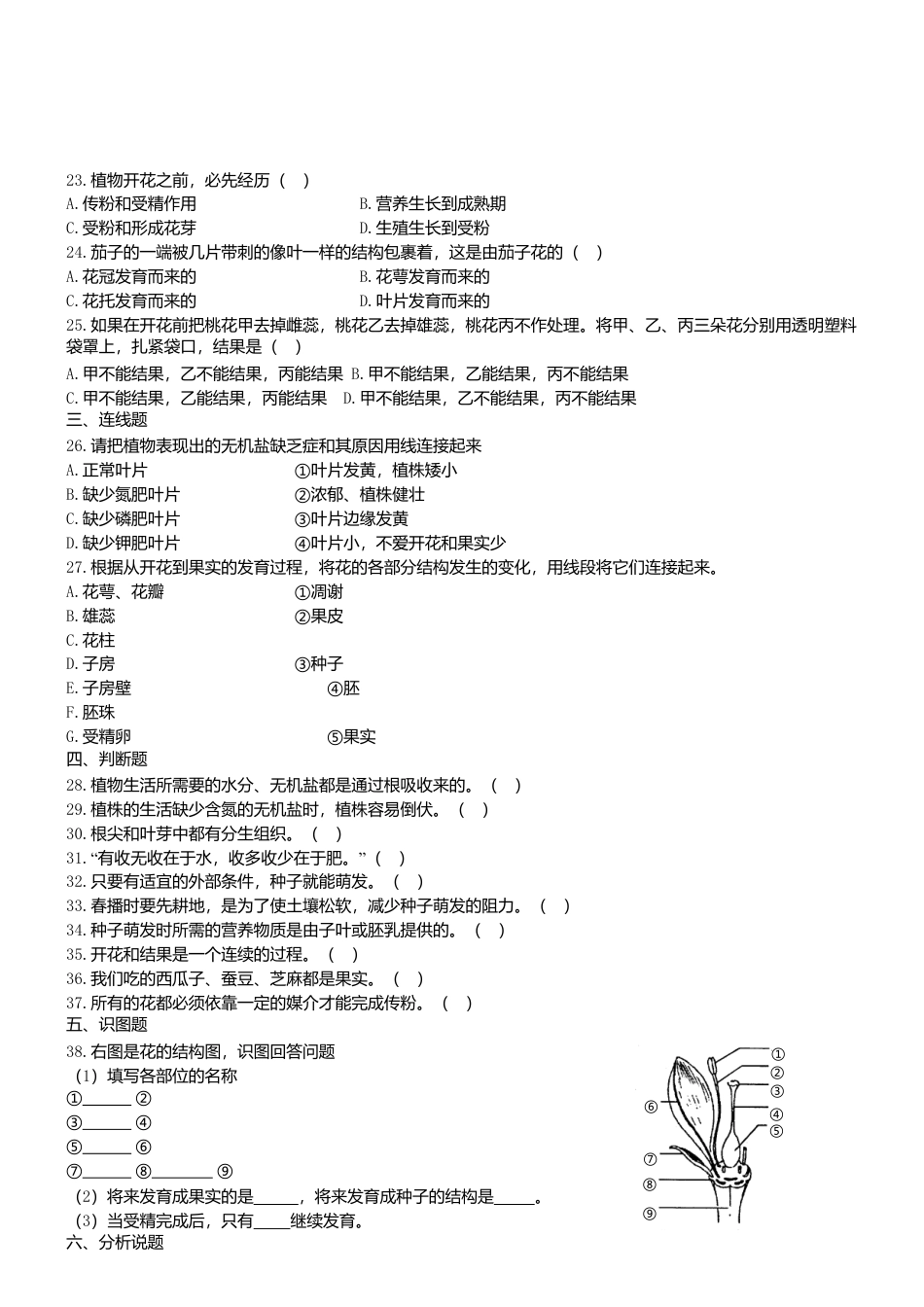 人教生物七年级上-3.2 被子植物的一生 同步练习.doc_第2页