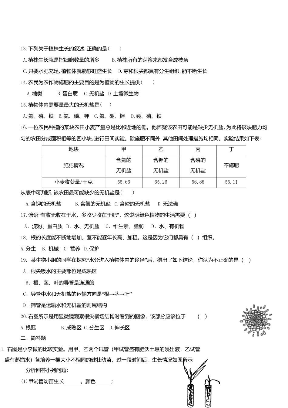 人教生物七年级上-3.2.2 植株的生长 同步测试.doc_第2页