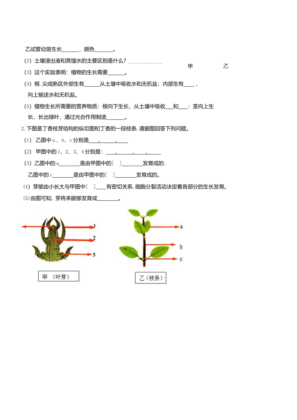 人教生物七年级上-3.2.2 植株的生长 同步测试.doc_第3页