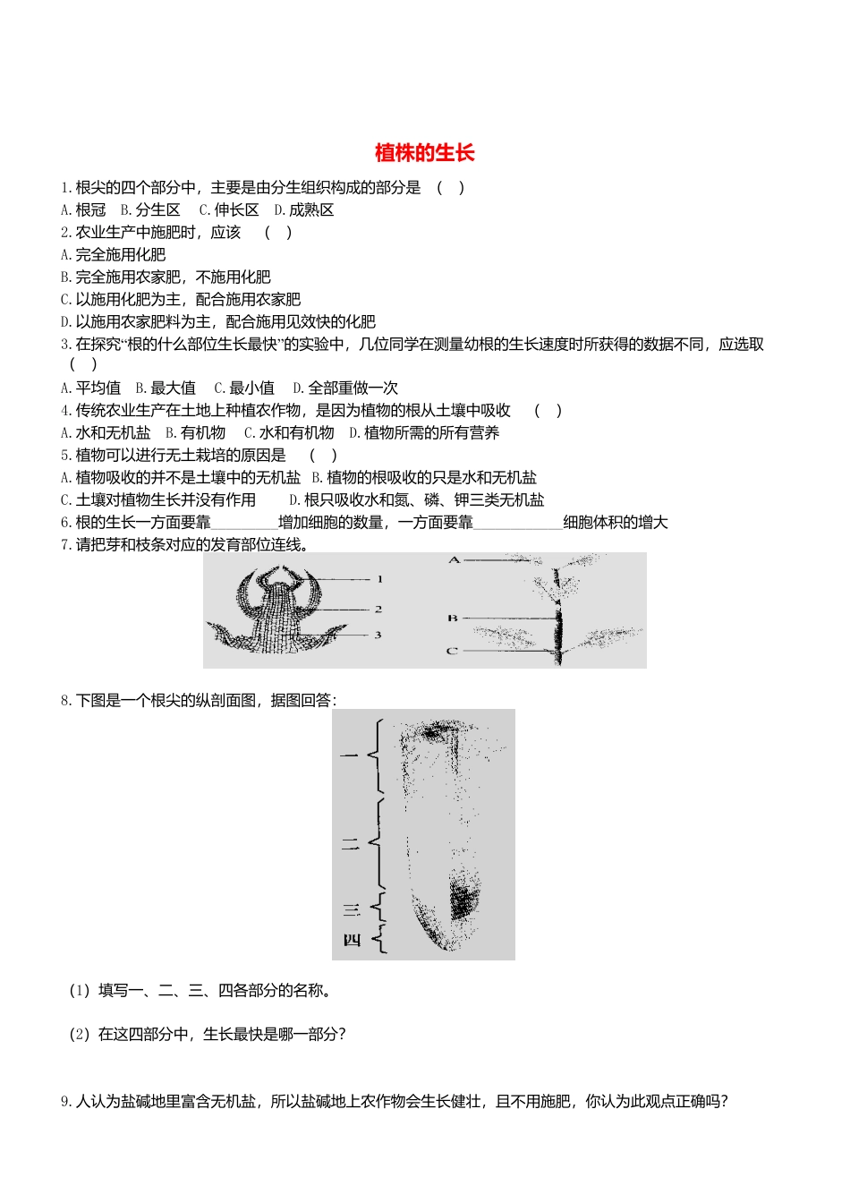 人教生物七年级上-3.2.2 植株的生长 同步练习.doc_第1页