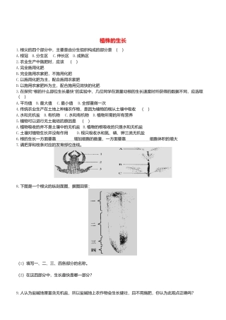 人教生物七年级上-3.2.2 植株的生长 同步练习.doc