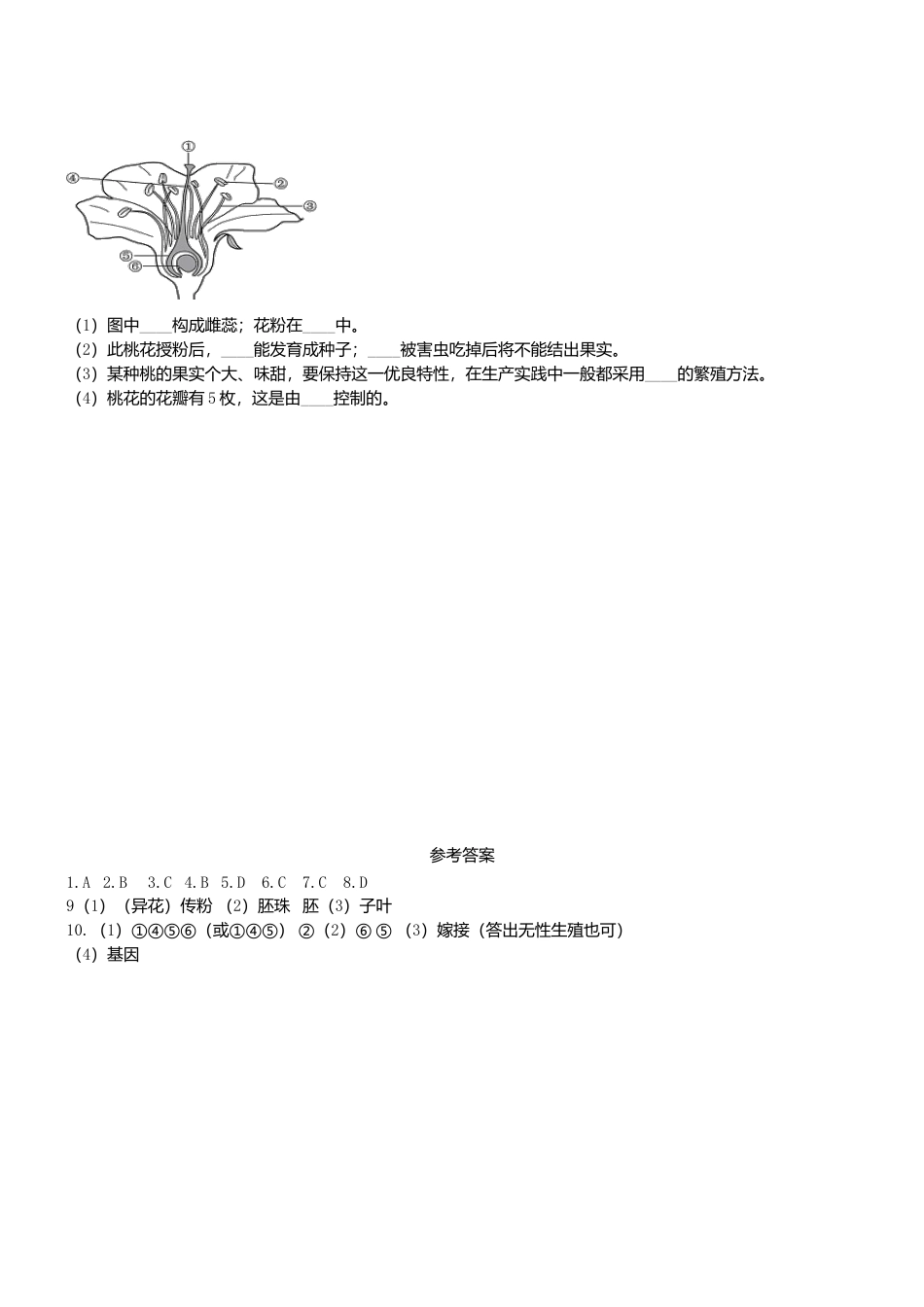 人教生物七年级上-3.2.3 开花和结果 同步测试.doc_第2页