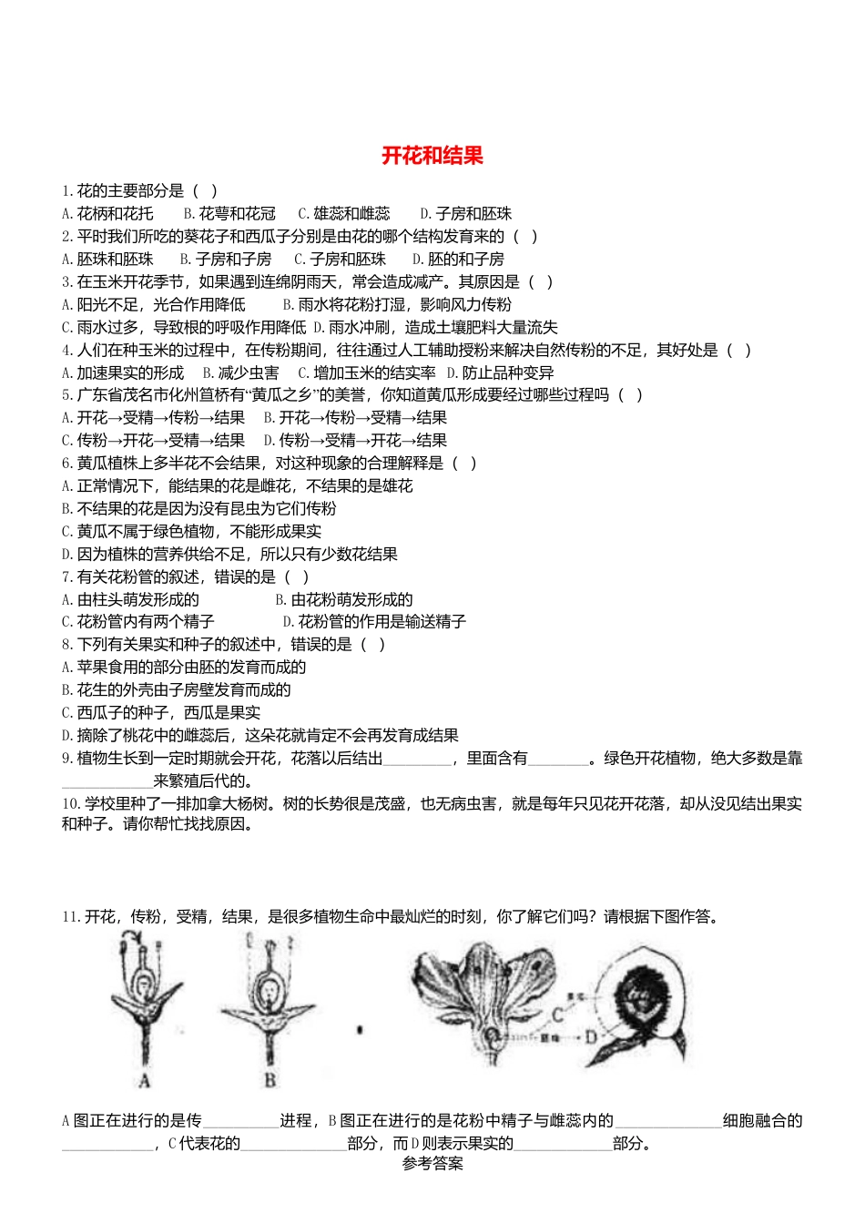 人教生物七年级上-3.2.3 开花和结果 同步练习.doc_第1页