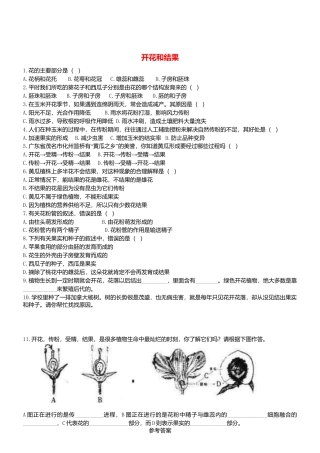 人教生物七年级上-3.2.3 开花和结果 同步练习.doc