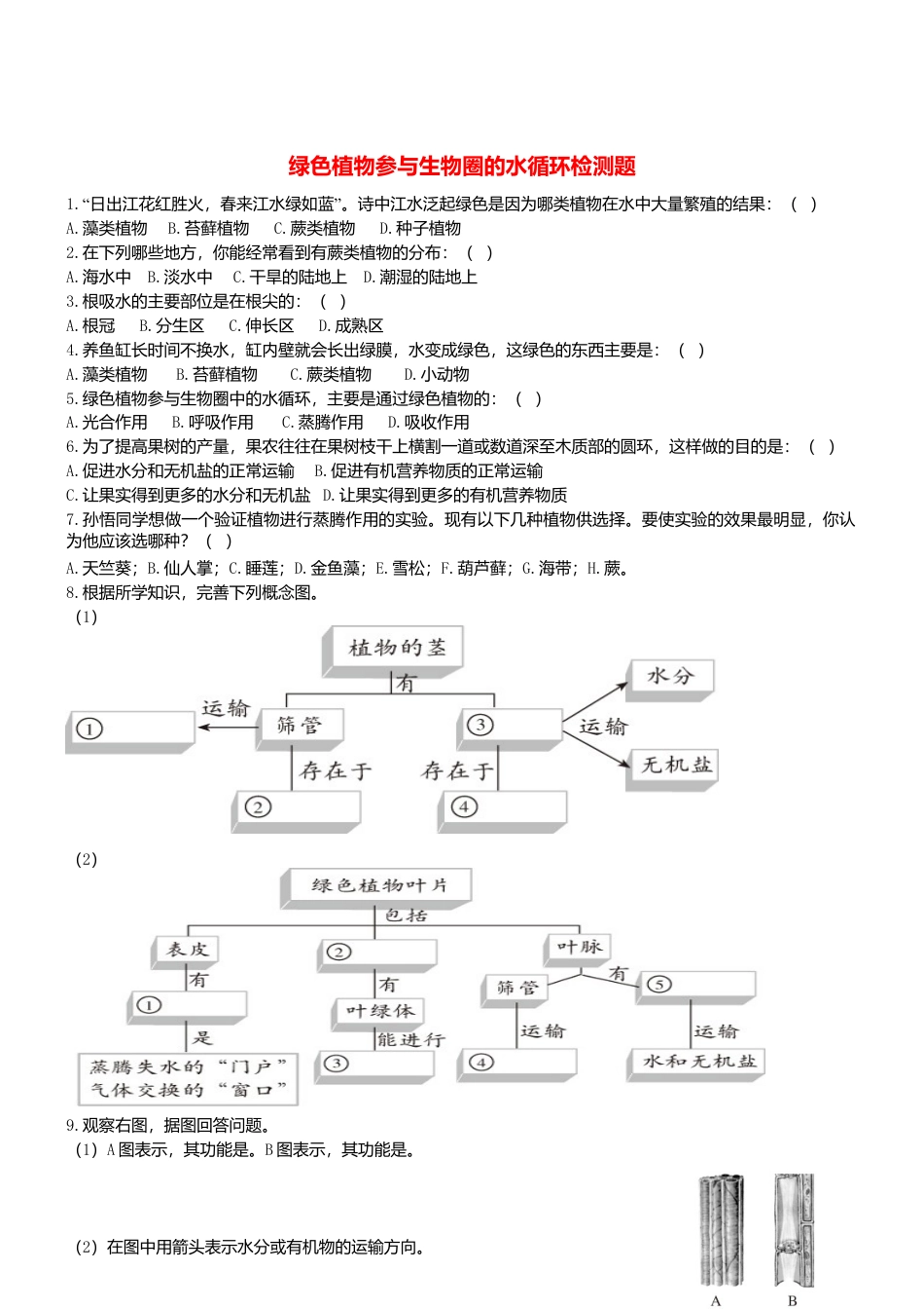 人教生物七年级上-3.3 绿色植物参与生物圈的水循环 同步练习.doc_第1页