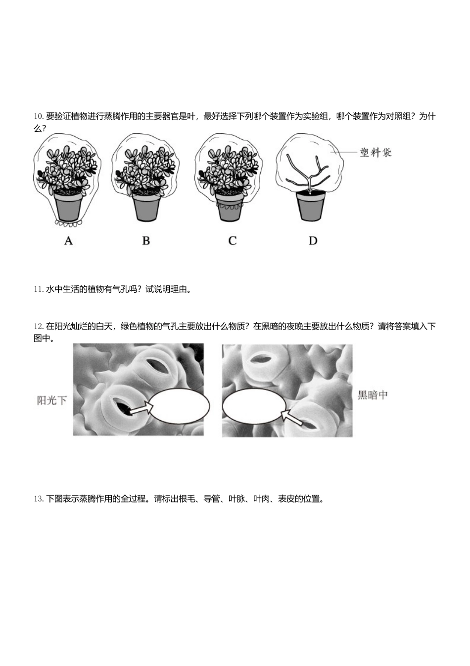 人教生物七年级上-3.3 绿色植物参与生物圈的水循环 同步练习.doc_第2页