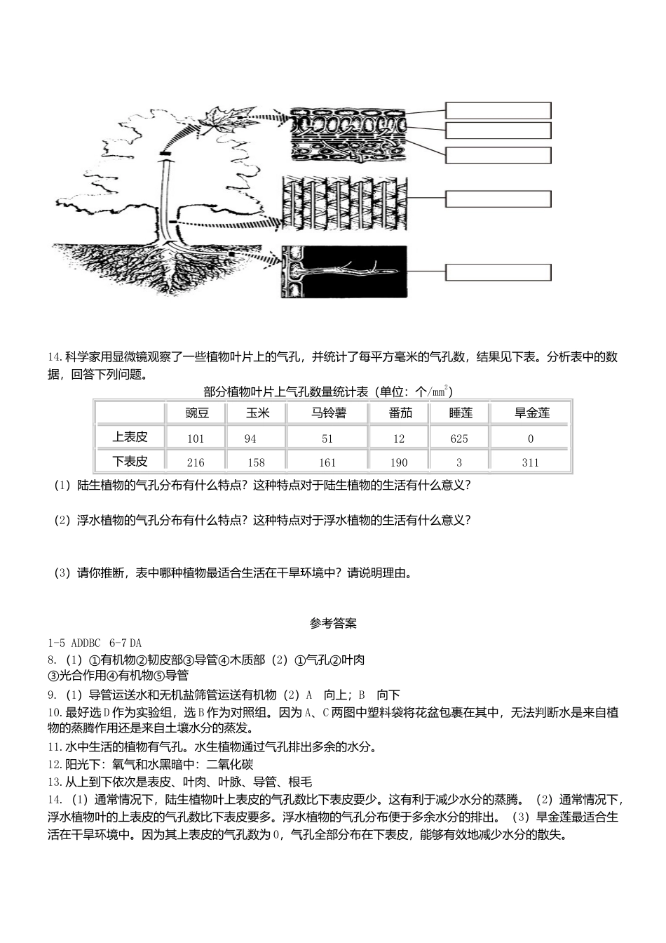 人教生物七年级上-3.3 绿色植物参与生物圈的水循环 同步练习.doc_第3页