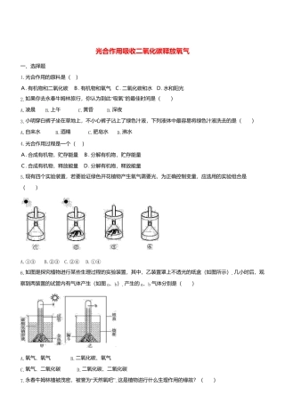 人教生物七年级上-3.5.1 光合作用吸收二氧化碳释放氧气 同步测试.doc