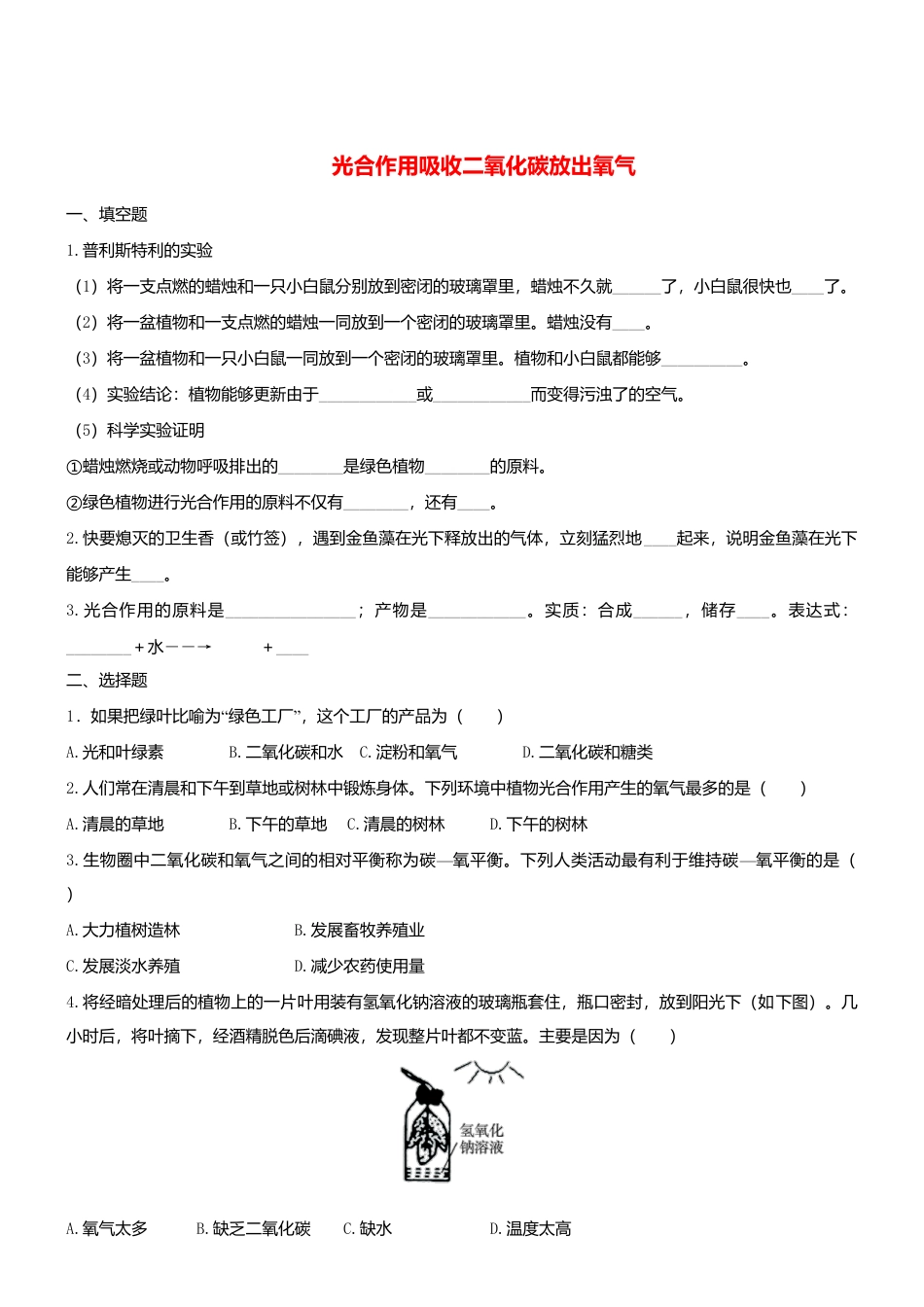 人教生物七年级上-3.5.1 光合作用吸收二氧化碳释放氧气 同步练习.doc_第1页