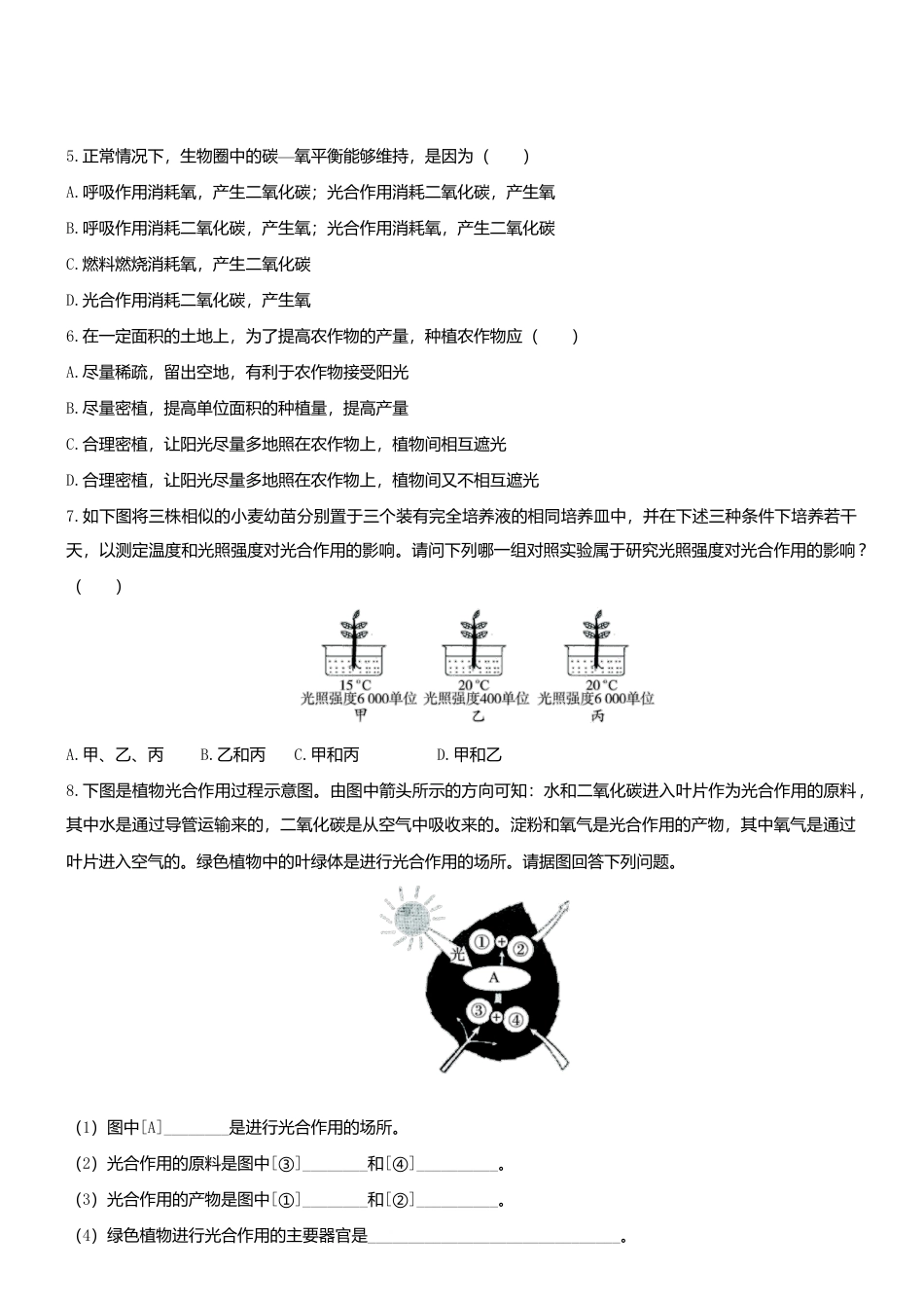 人教生物七年级上-3.5.1 光合作用吸收二氧化碳释放氧气 同步练习.doc_第2页