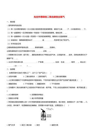 人教生物七年级上-3.5.1 光合作用吸收二氧化碳释放氧气 同步练习.doc