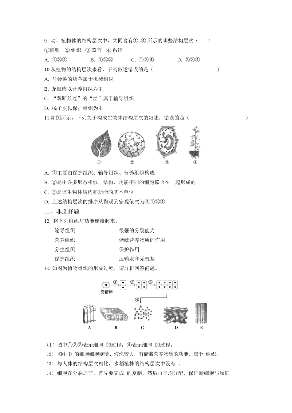 人教生物七年级上-第2单元2.3植物体的结构层次同步练习题.docx_第3页