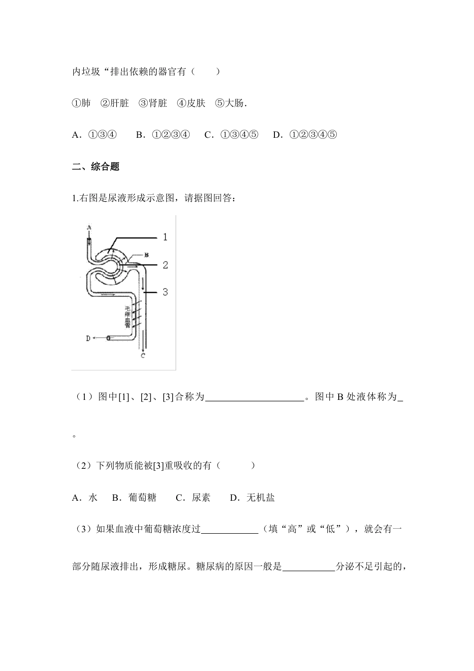 生物七年级下册-《人体内废物的排出》同步练习.doc_第2页