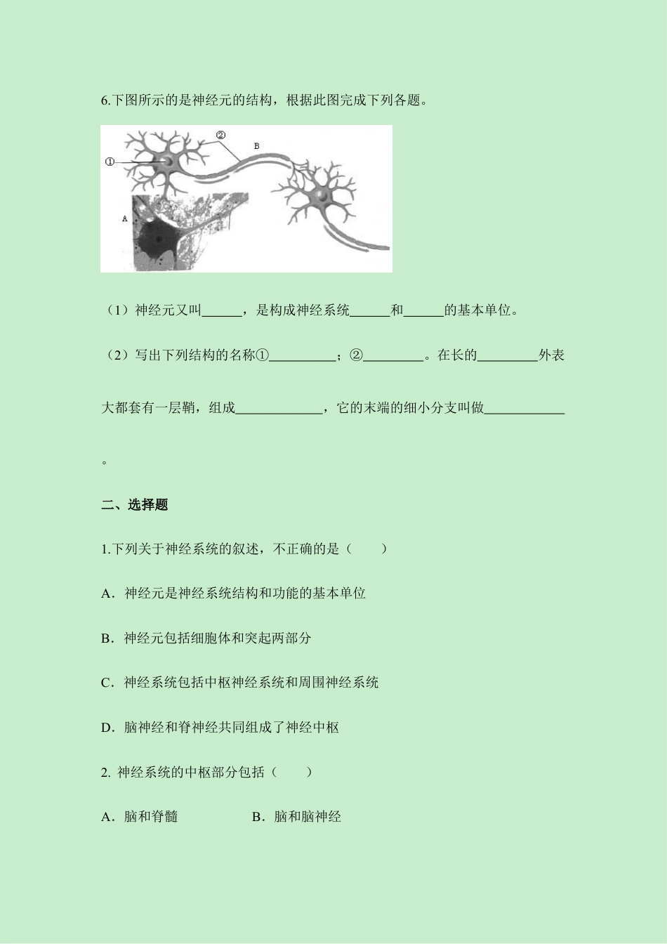 生物七年级下册-《神经系统的组成》同步练习.doc_第2页