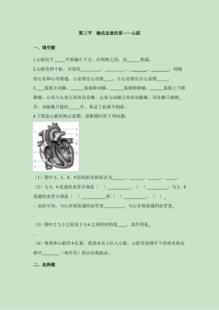 生物七年级下册-《输送血液的泵——心脏》同步练习.doc