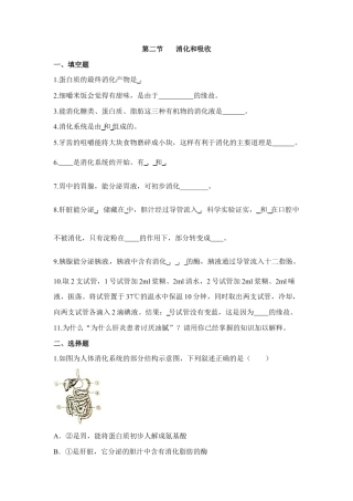 生物七年级下册-《消化和吸收》同步练习.doc