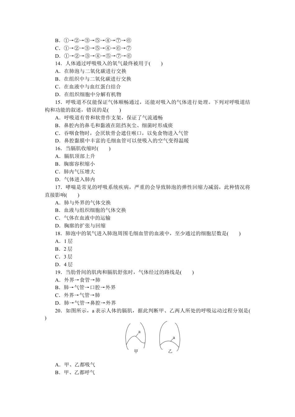 生物七年级下册-第3章 人体的呼吸 检测卷及答案.docx_第3页